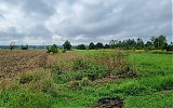  Sprzedaż pow. krakowski